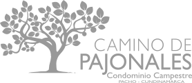 Cliente 6